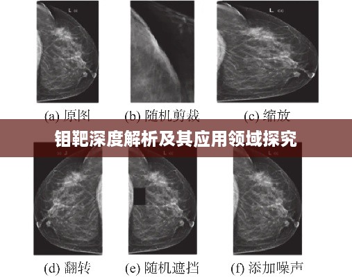 钼靶深度解析及其应用领域探究