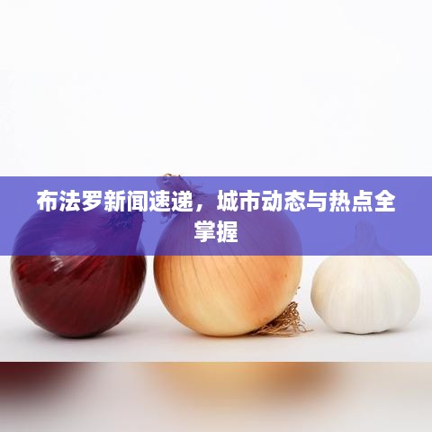 布法罗新闻速递，城市动态与热点全掌握