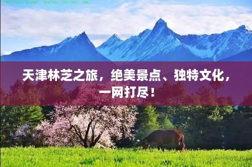 天津林芝之旅，绝美景点、独特文化，一网打尽！