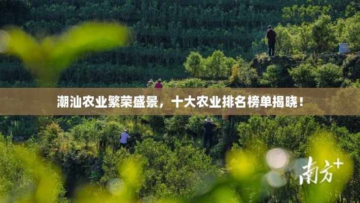 潮汕农业繁荣盛景，十大农业排名榜单揭晓！