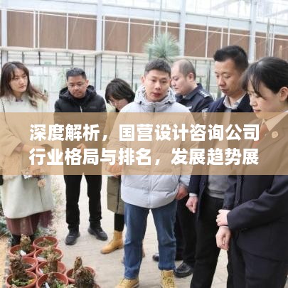 深度解析，国营设计咨询公司行业格局与排名，发展趋势展望