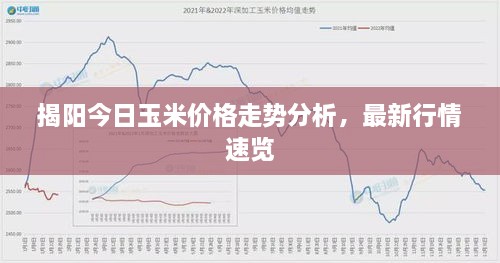 揭阳今日玉米价格走势分析，最新行情速览