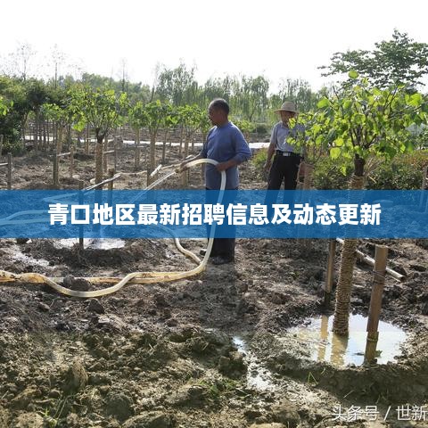 青口地区最新招聘信息及动态更新
