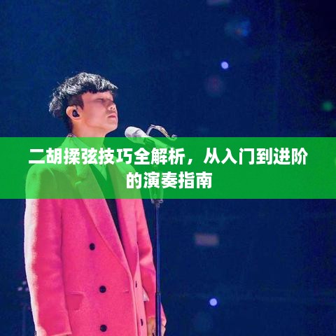 二胡揉弦技巧全解析，从入门到进阶的演奏指南