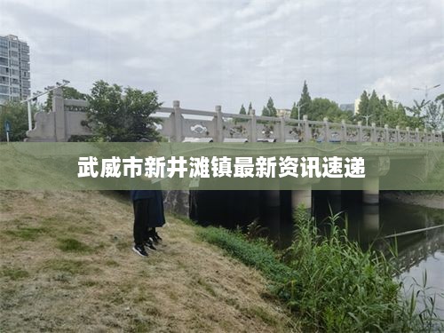 武威市新井滩镇最新资讯速递