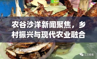农谷沙洋新闻聚焦，乡村振兴与现代农业融合发展的前沿动态