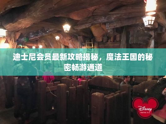 迪士尼会员最新攻略揭秘，魔法王国的秘密畅游通道