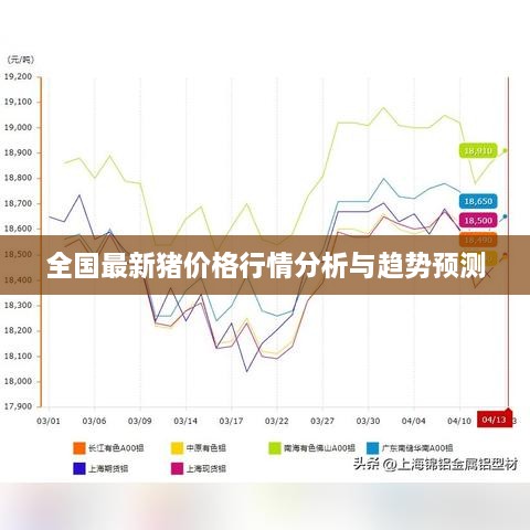 全国最新猪价格行情分析与趋势预测