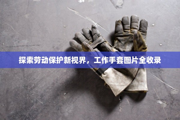 探索劳动保护新视界，工作手套图片全收录