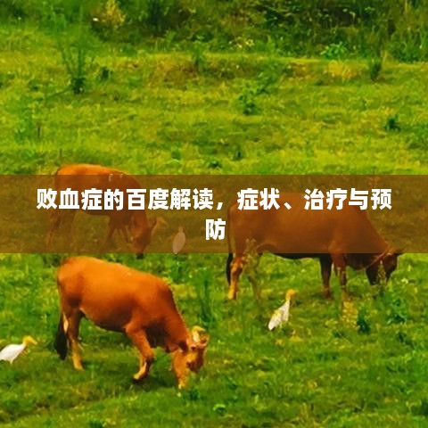 败血症的百度解读，症状、治疗与预防