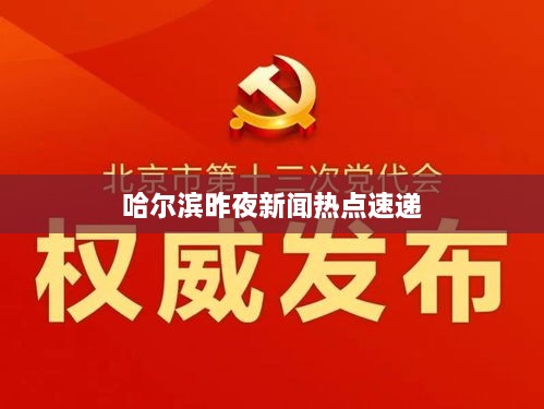 哈尔滨昨夜新闻热点速递
