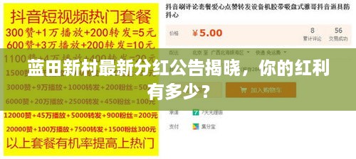 蓝田新村最新分红公告揭晓，你的红利有多少？