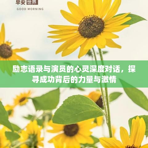 励志语录与演员的心灵深度对话，探寻成功背后的力量与激情