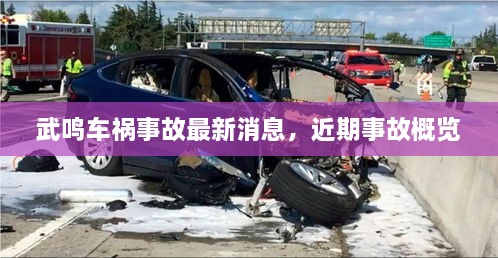 武鸣车祸事故最新消息，近期事故概览