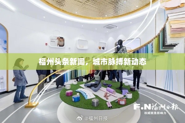 福州头条新闻，城市脉搏新动态