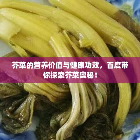芥菜的营养价值与健康功效，百度带你探索芥菜奥秘！