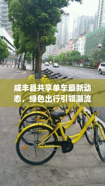 咸丰县共享单车最新动态，绿色出行引领潮流，共享时代来临！