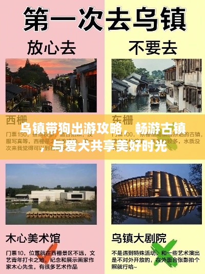 乌镇带狗出游攻略，畅游古镇，与爱犬共享美好时光