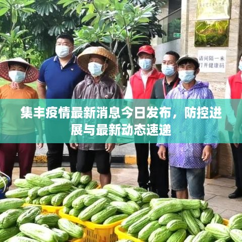 集丰疫情最新消息今日发布，防控进展与最新动态速递