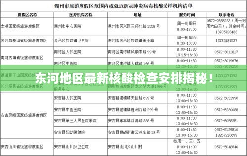 东河地区最新核酸检查安排揭秘！