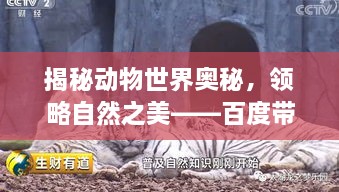 揭秘动物世界奥秘，领略自然之美——百度带你探索生态之旅