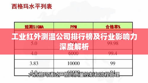 工业红外测温公司排行榜及行业影响力深度解析