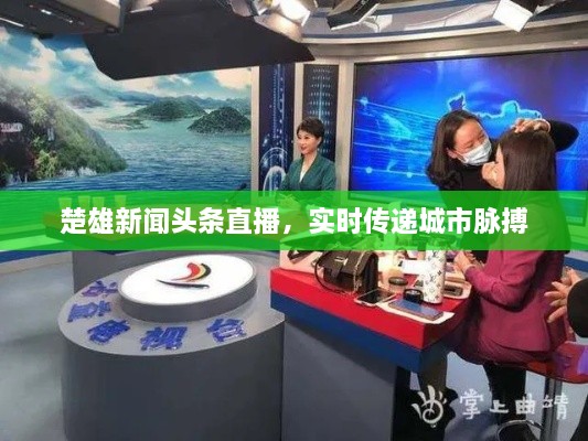 楚雄新闻头条直播，实时传递城市脉搏