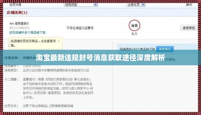 淘宝最新违规封号消息获取途径深度解析