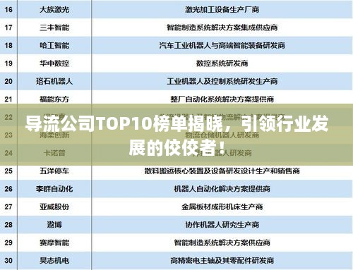 导流公司TOP10榜单揭晓，引领行业发展的佼佼者！