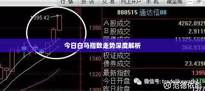 今日白马指数走势深度解析