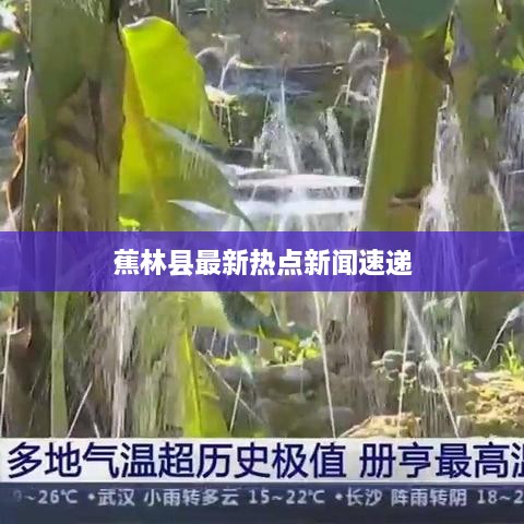蕉林县最新热点新闻速递