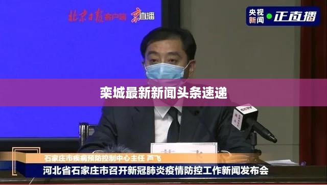 栾城最新新闻头条速递
