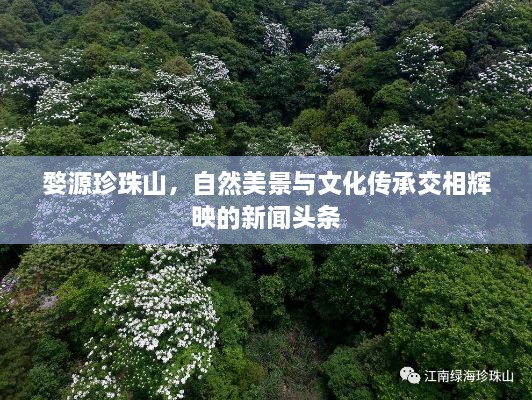 婺源珍珠山，自然美景与文化传承交相辉映的新闻头条