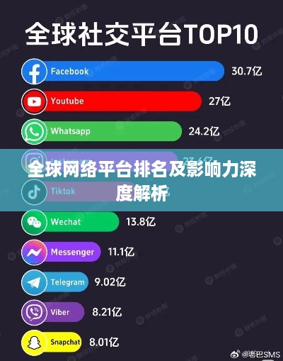 全球网络平台排名及影响力深度解析