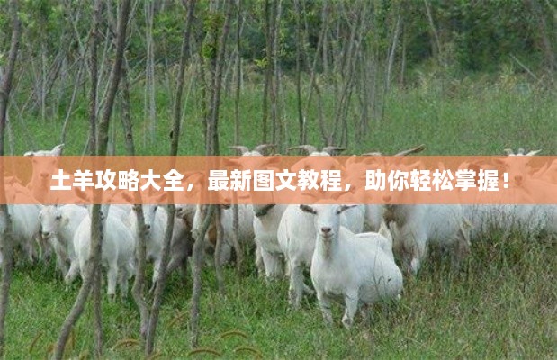 土羊攻略大全，最新图文教程，助你轻松掌握！