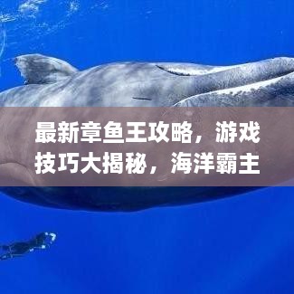 最新章鱼王攻略，游戏技巧大揭秘，海洋霸主之路！