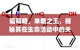 工程案例 第7页