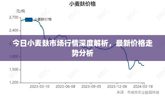 今日小麦麸市场行情深度解析，最新价格走势分析