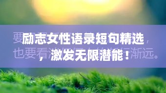 2025年5月4日 第3页
