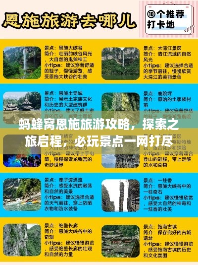 新闻资讯