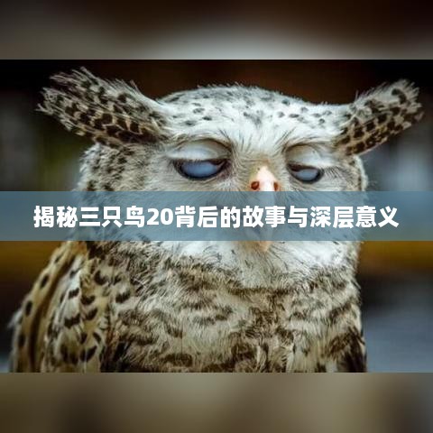 揭秘三只鸟20背后的故事与深层意义
