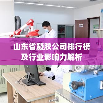 山东省凝胶公司排行榜及行业影响力解析