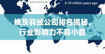埃及羽绒公司排名揭秘，行业影响力不容小觑