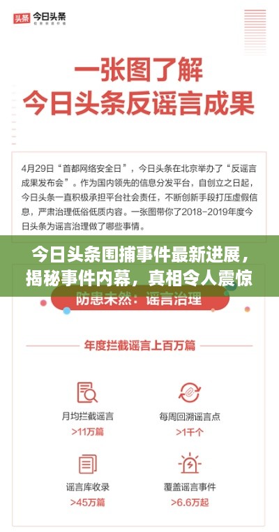 今日头条围捕事件最新进展，揭秘事件内幕，真相令人震惊！