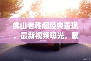佛山老雅阁经典重现，最新视频曝光，瞩目无限