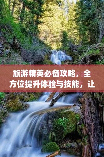 旅游精英必备攻略，全方位提升体验与技能，让你畅游无忧！