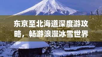 东京至北海道深度游攻略，畅游浪漫冰雪世界