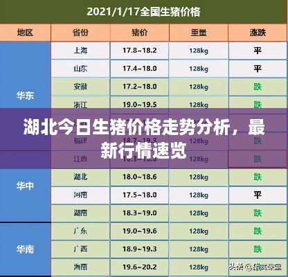 湖北今日生猪价格走势分析，最新行情速览
