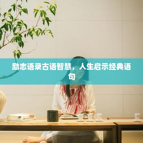 励志语录古语智慧，人生启示经典语句