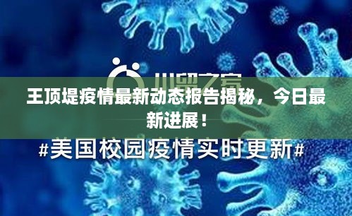 王顶堤疫情最新动态报告揭秘，今日最新进展！